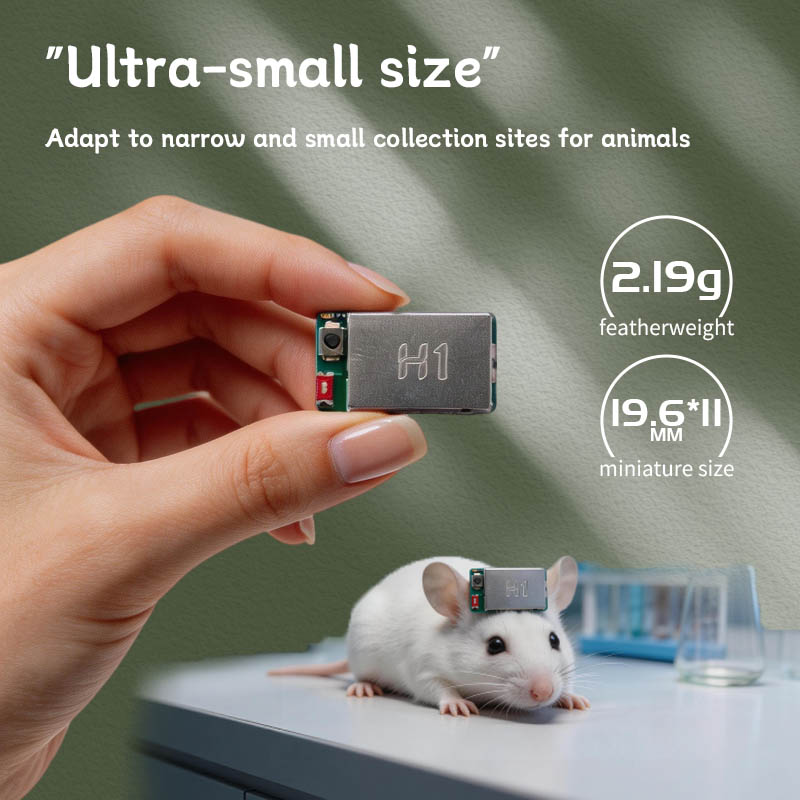 H1 EEG EMG Acquisition Module  - огляд і ціна Muscle Sensor Emg